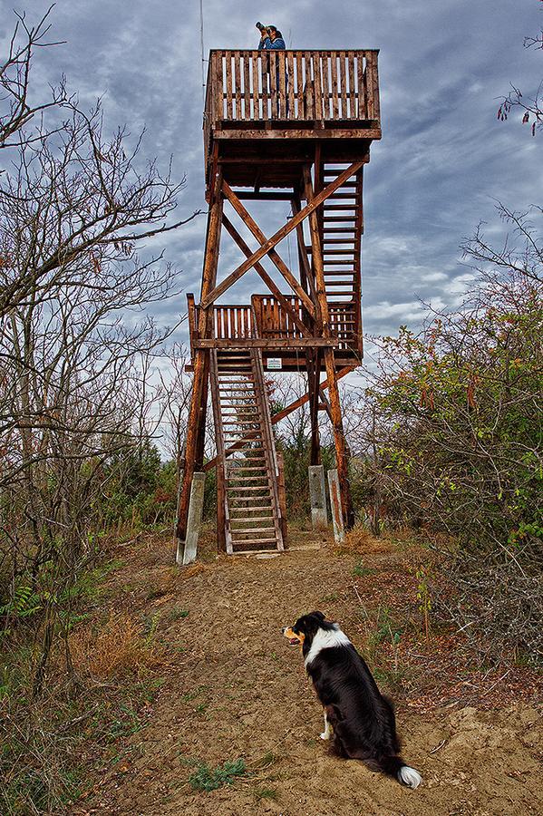El Bronco Working Ranch Izsak ภายนอก รูปภาพ