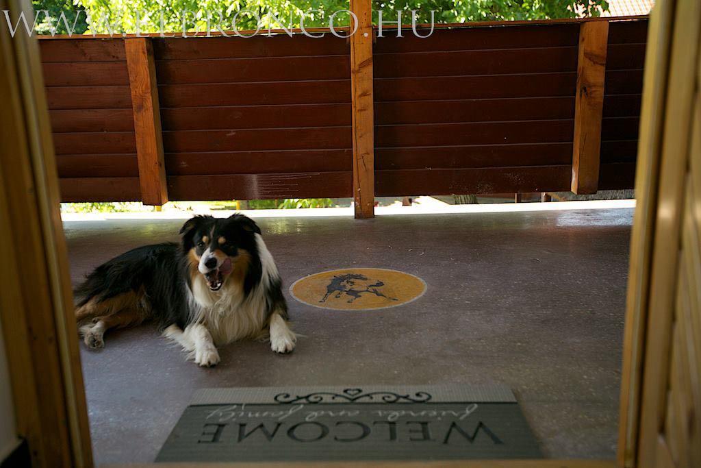 El Bronco Working Ranch Izsak ภายนอก รูปภาพ