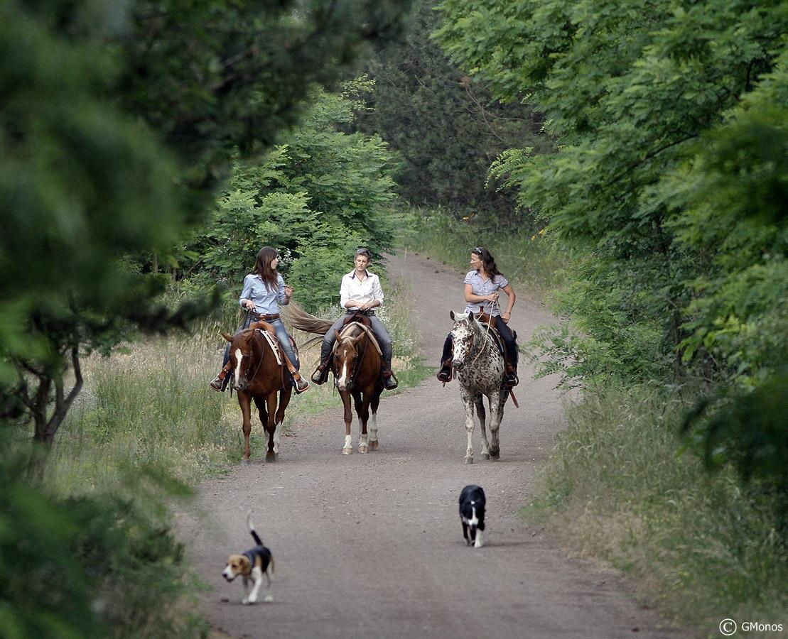 El Bronco Working Ranch Izsak ภายนอก รูปภาพ