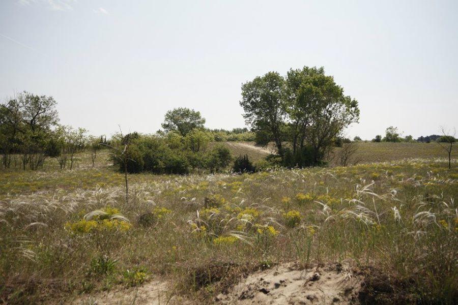 El Bronco Working Ranch Izsak ภายนอก รูปภาพ