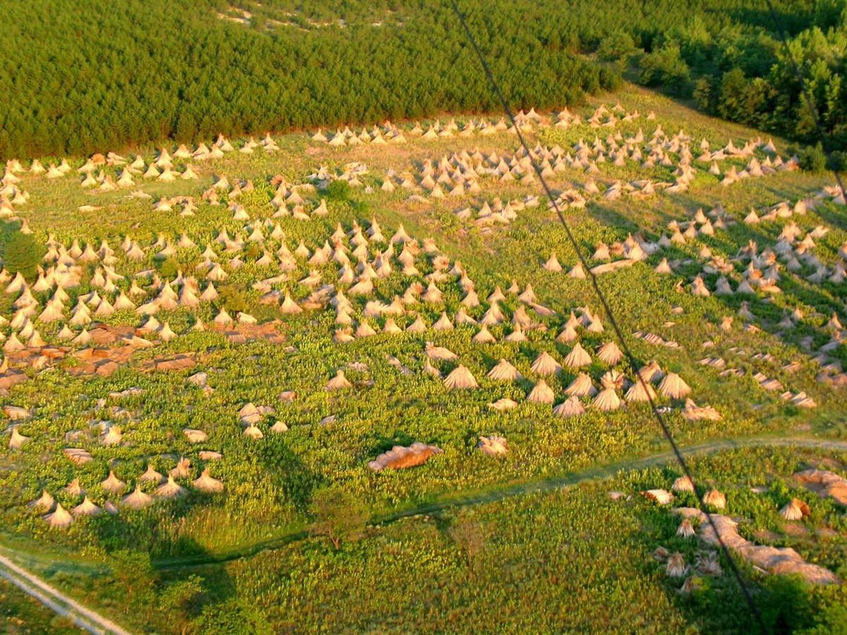 El Bronco Working Ranch Izsak ภายนอก รูปภาพ